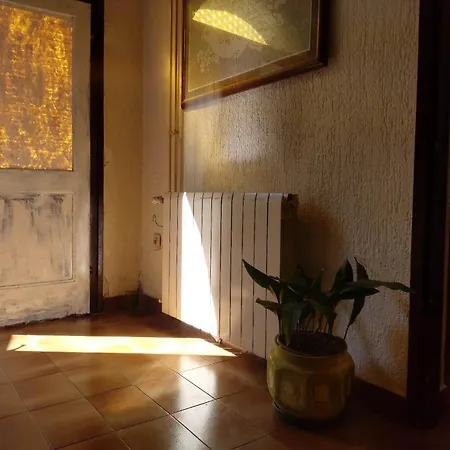 Arena Apartament Pula